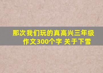 那次我们玩的真高兴三年级作文300个字 关于下雪